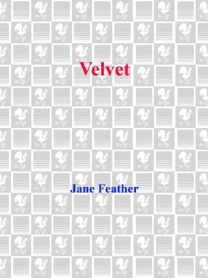 [v 04] • Velvet